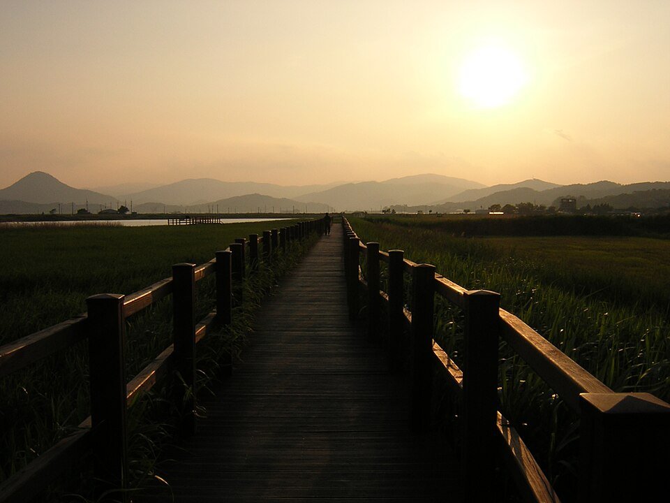 Suncheon Bay Wetland