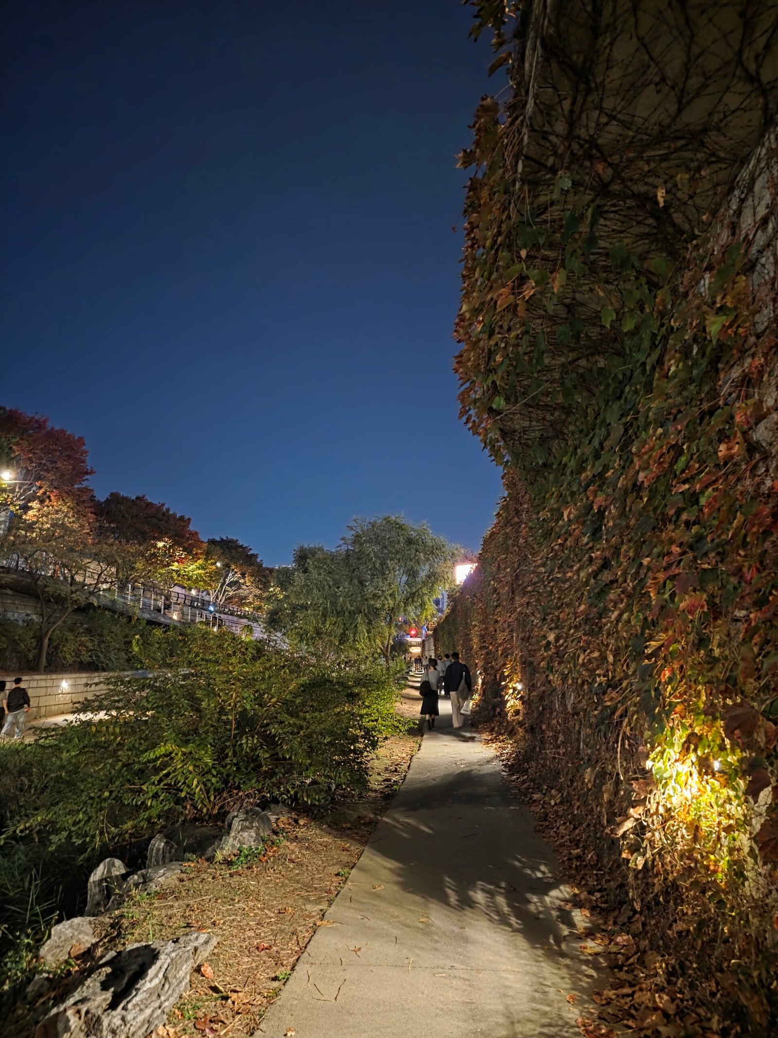 People walking beside an illuminated ivy-covered stone wall along Cheonggyecheon.