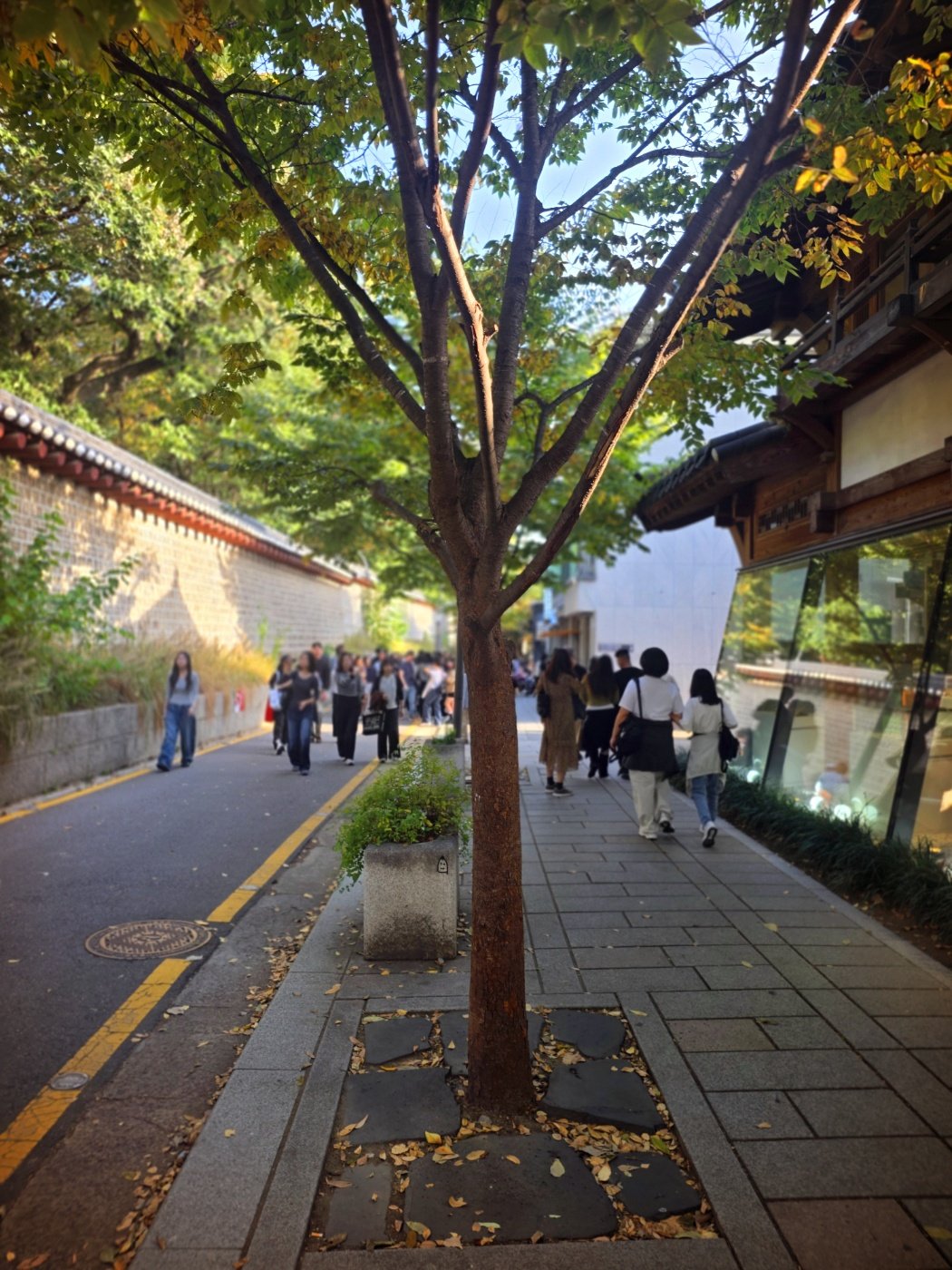 A shaded daytime walk along Seosulla-gil beside Jongmyo's stone wall in Seoul