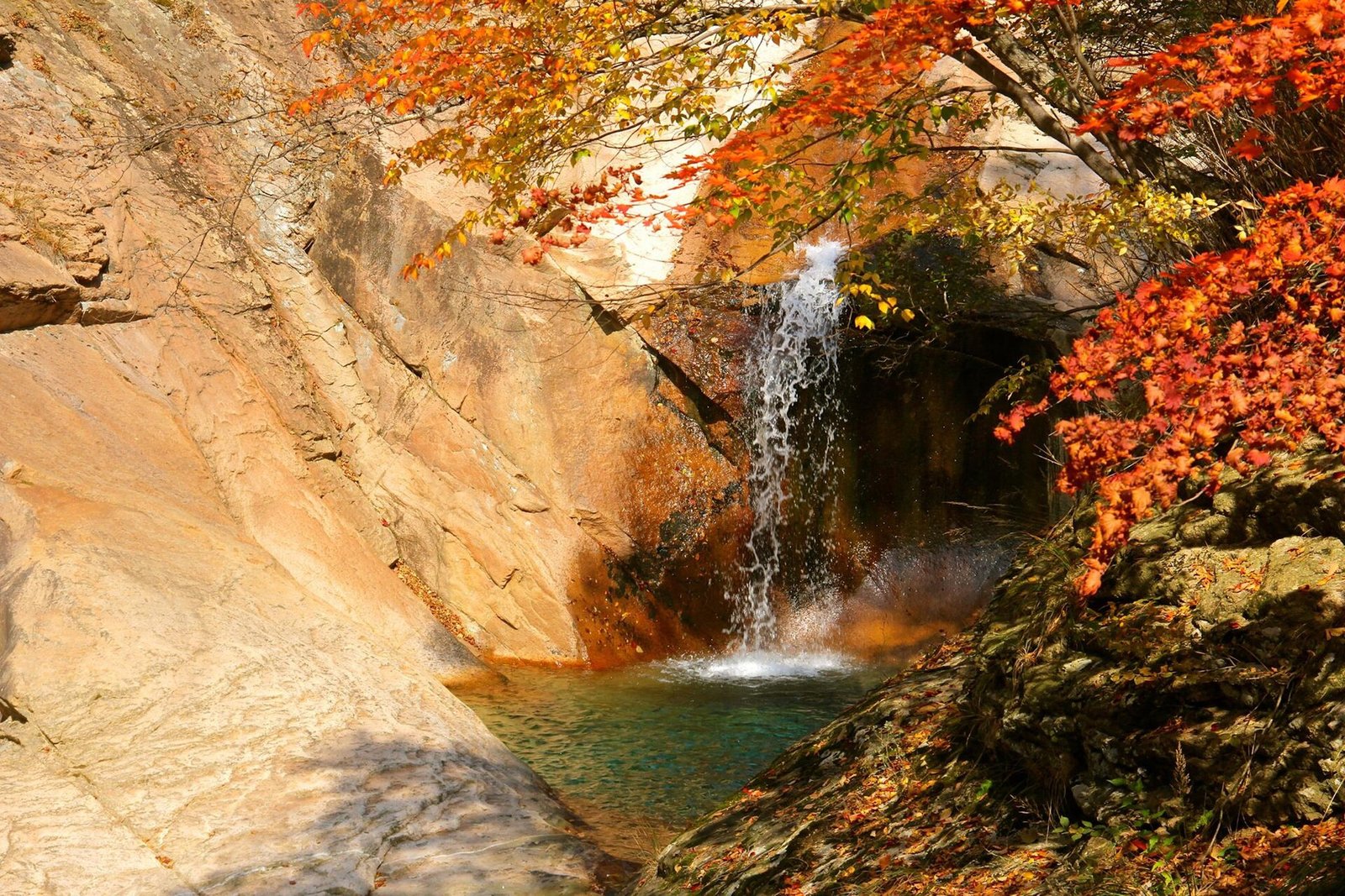 Autumn foliage in Seoraksan National Park near Sokcho